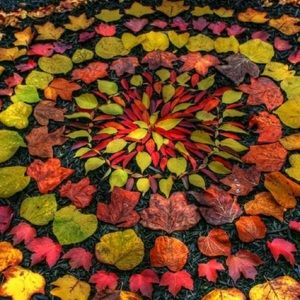 Meet your Posher, Colleen